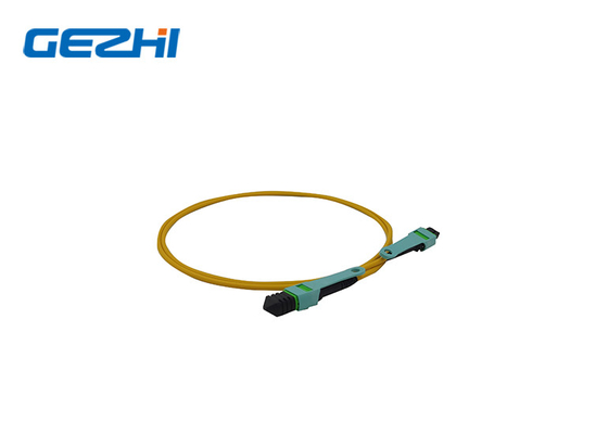 Aktualisieren Sie Ihr Netzwerk mit LC OM3/OM4 8/12/24f MPO/MTP Fiber Optic Patch Cord MPO