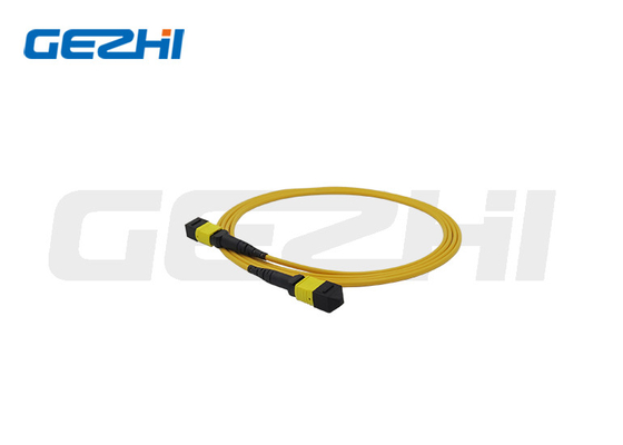 MTP / MPO 12 Core OS2 Custom Fiber Patch Kabel in passiven Komponenten