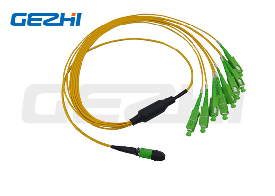 MTP/MPO Trunk Cabe 12 Kerne/24 Kerne/48 Kerne/72 Kerne/96 Kerne/144 Kerne OS2 Glasfaser-Patchkabel