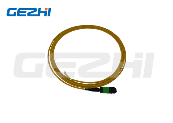 SM 9/125 Mpo Lc Glasfaser Pigtail Patchcord mit und angepasste Länge